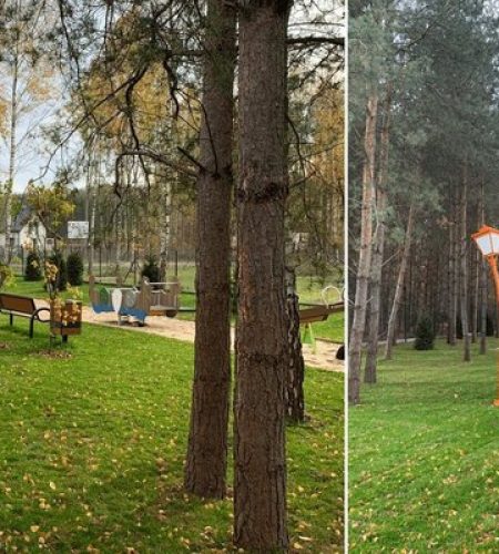 usługi ogrodnicze (10)